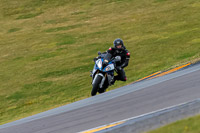 PJ-Motorsport-2019;anglesey-no-limits-trackday;anglesey-photographs;anglesey-trackday-photographs;enduro-digital-images;event-digital-images;eventdigitalimages;no-limits-trackdays;peter-wileman-photography;racing-digital-images;trac-mon;trackday-digital-images;trackday-photos;ty-croes